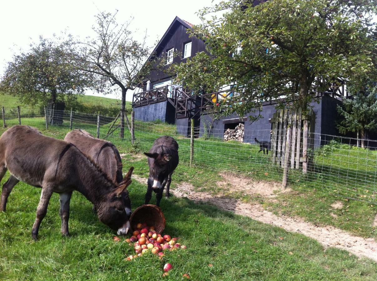 Hoeve Schoonzicht Wijlre Exterior photo